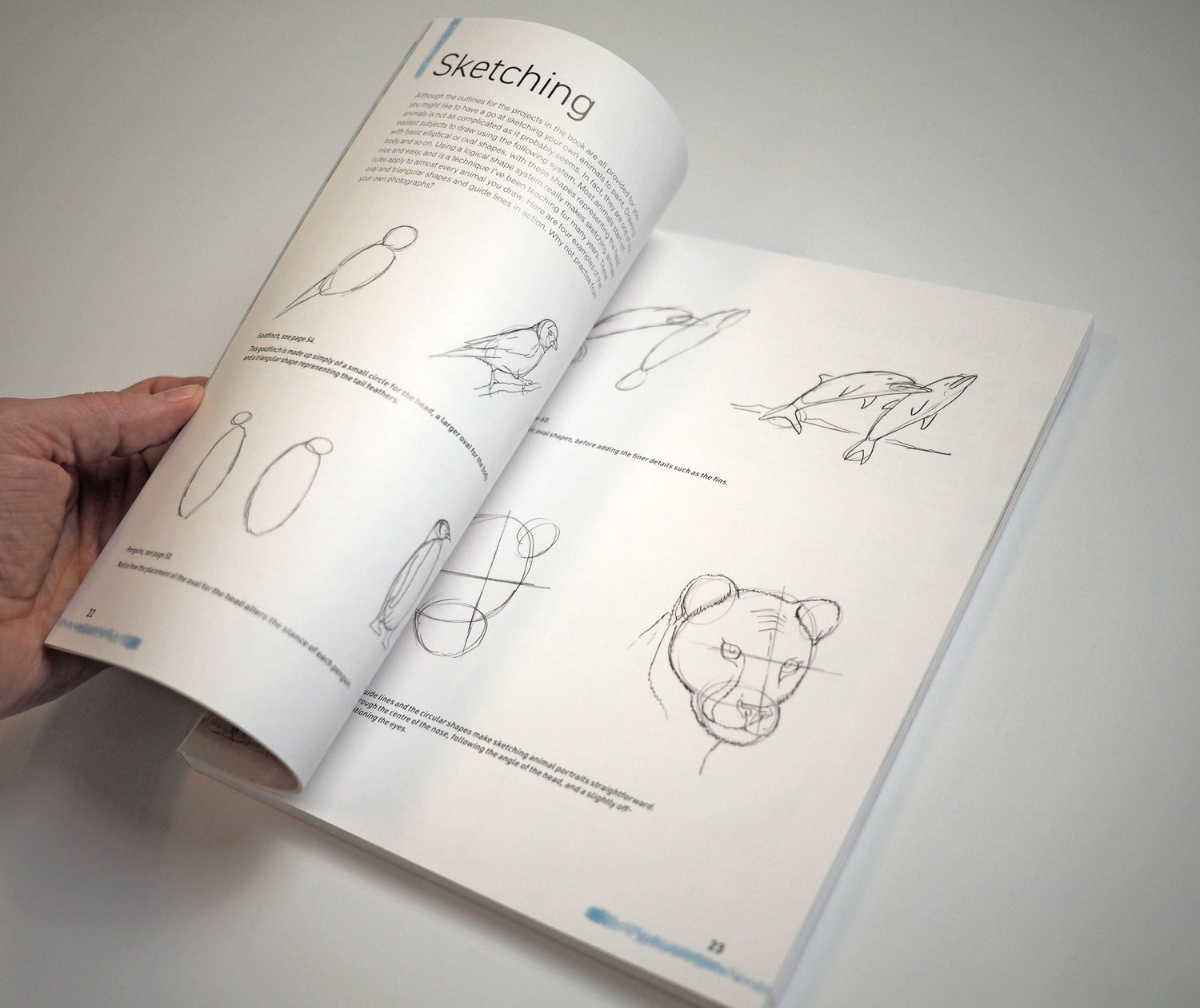 NEW BOOK - Watercolour Animals for the Absolute Beginner SIGNED & NUMBERED 1st Edition - Now In Stock