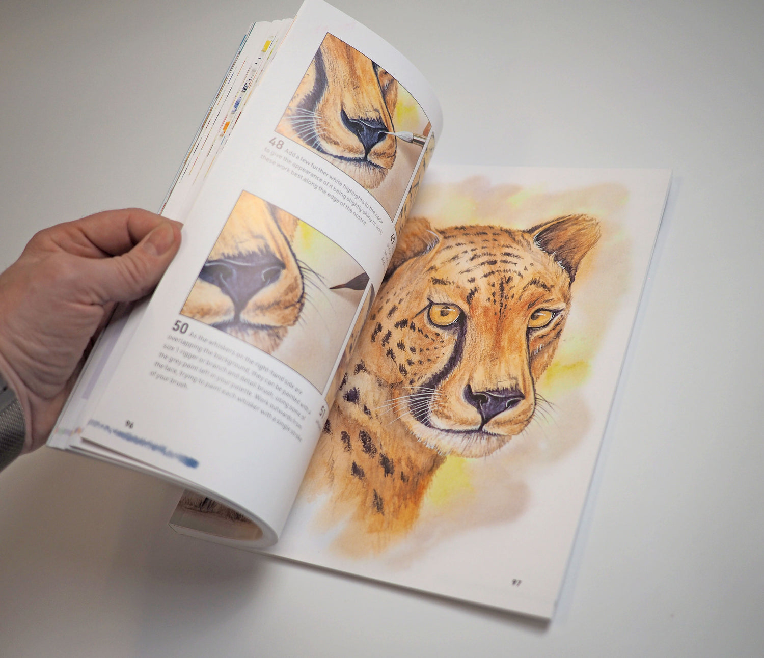 NEW BOOK - Watercolour Animals for the Absolute Beginner SIGNED & NUMBERED 1st Edition - Now In Stock