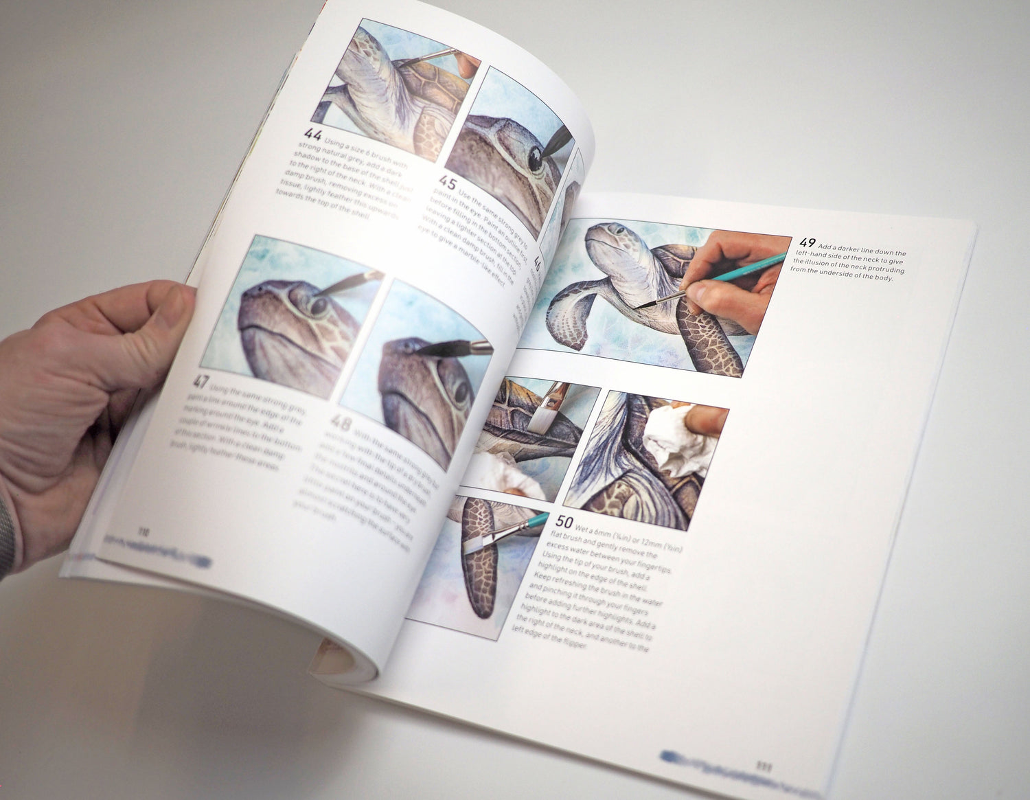 NEW BOOK - Watercolour Animals for the Absolute Beginner SIGNED & NUMBERED 1st Edition - Now In Stock