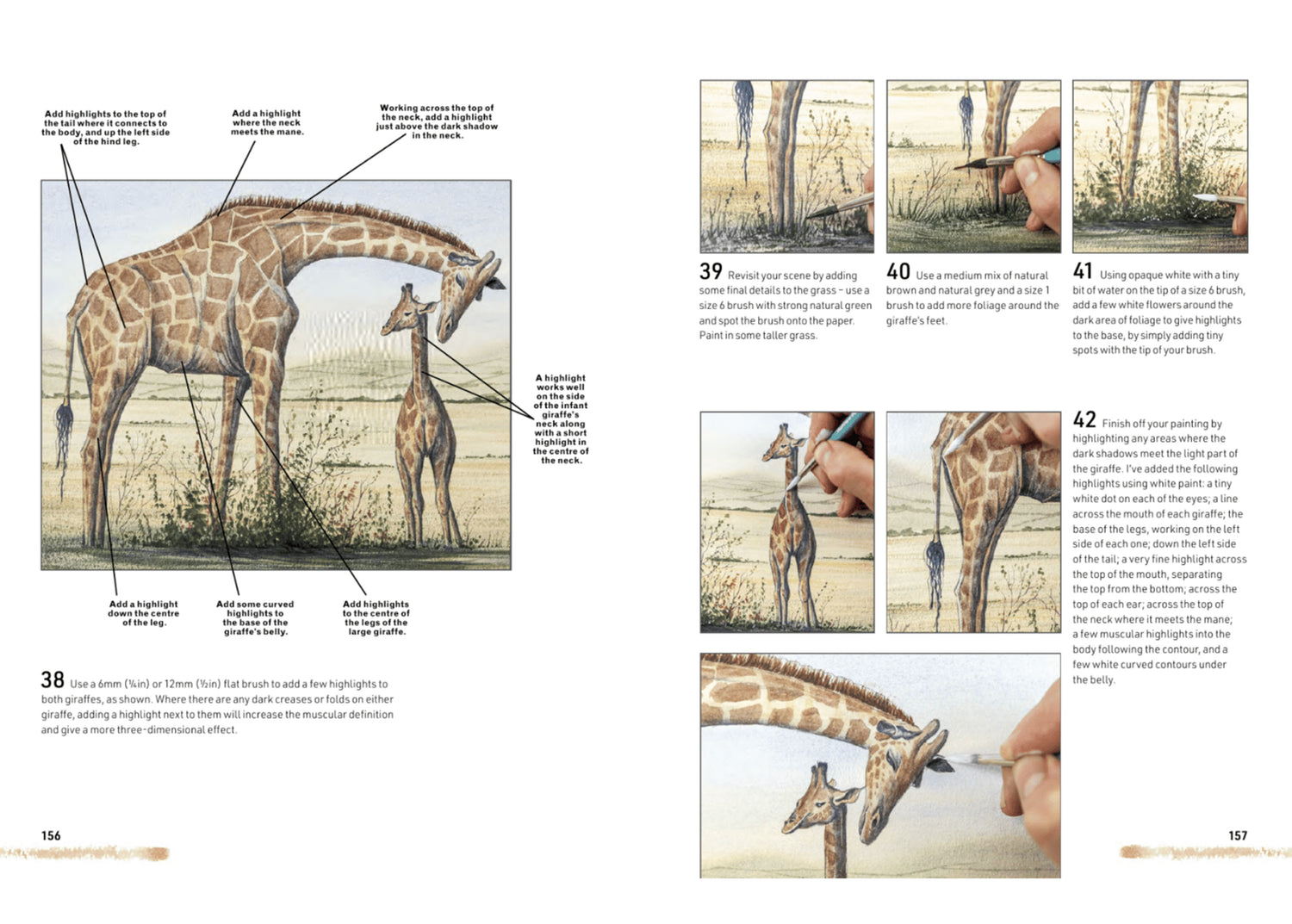 NEW BOOK - Watercolour Animals for the Absolute Beginner SIGNED & NUMBERED 1st Edition - Now In Stock