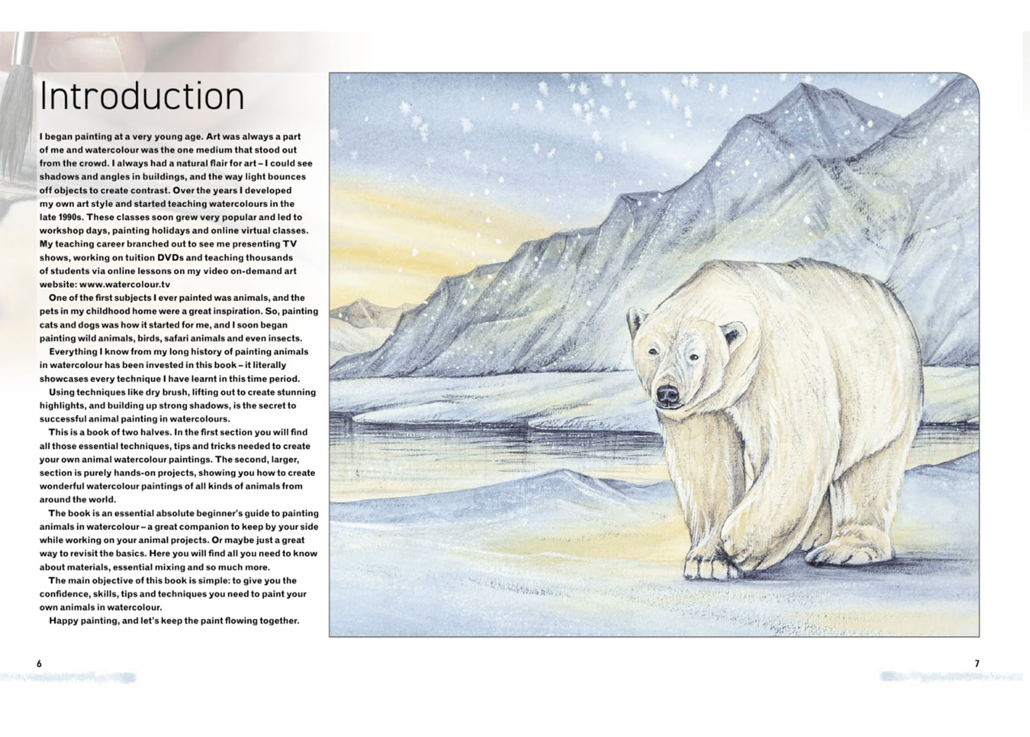NEW BOOK - Watercolour Animals for the Absolute Beginner SIGNED & NUMBERED 1st Edition - Now In Stock