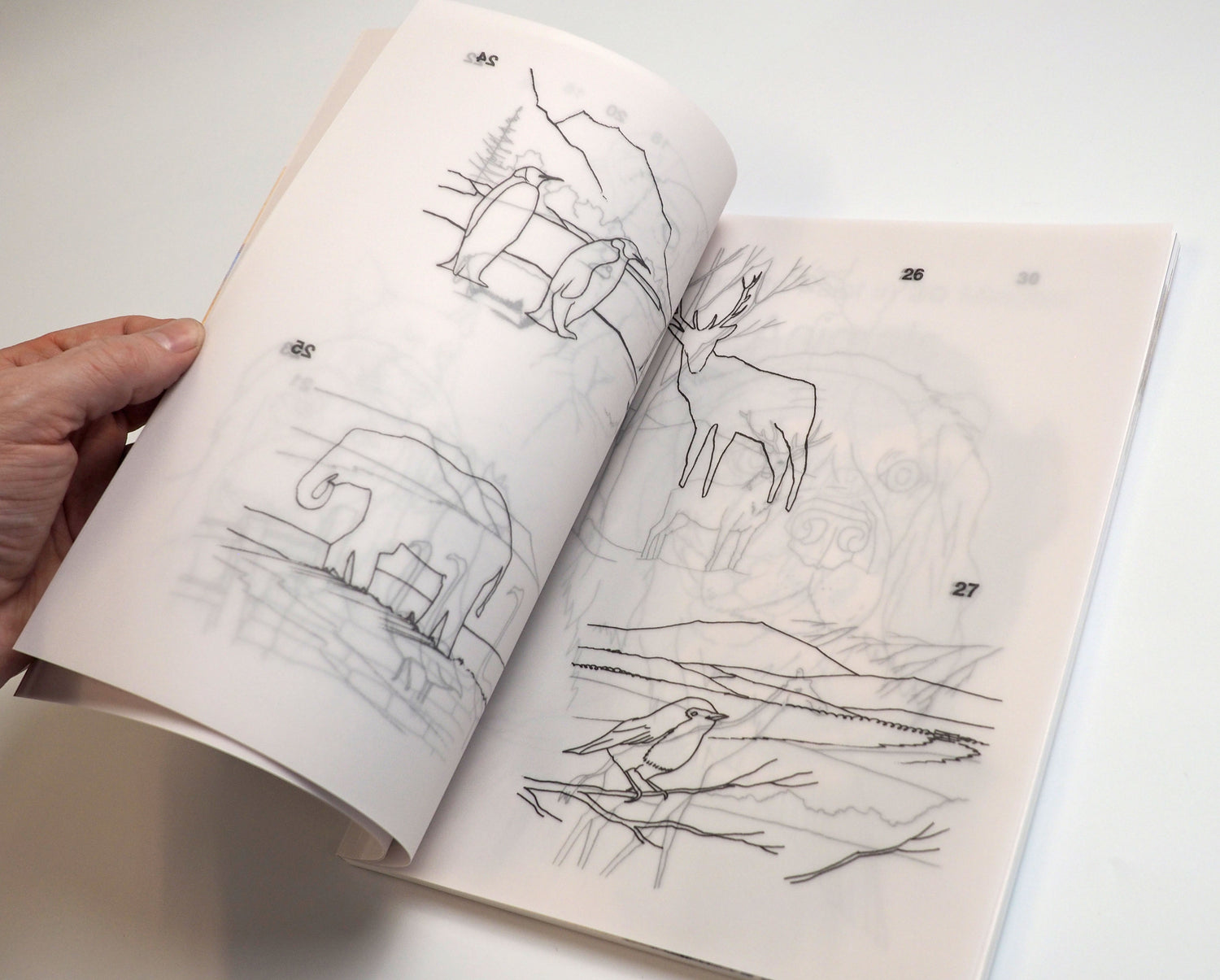 Ready to Paint in 30 Minutes: Animals in Watercolour SIGNED COPY