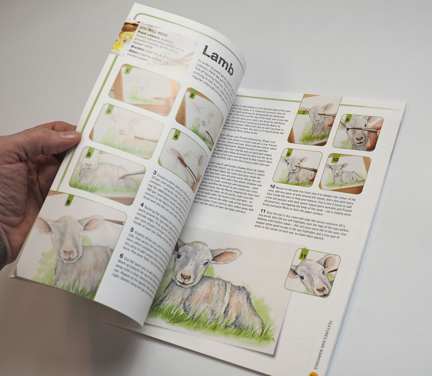 Ready to Paint in 30 Minutes: Animals in Watercolour SIGNED COPY