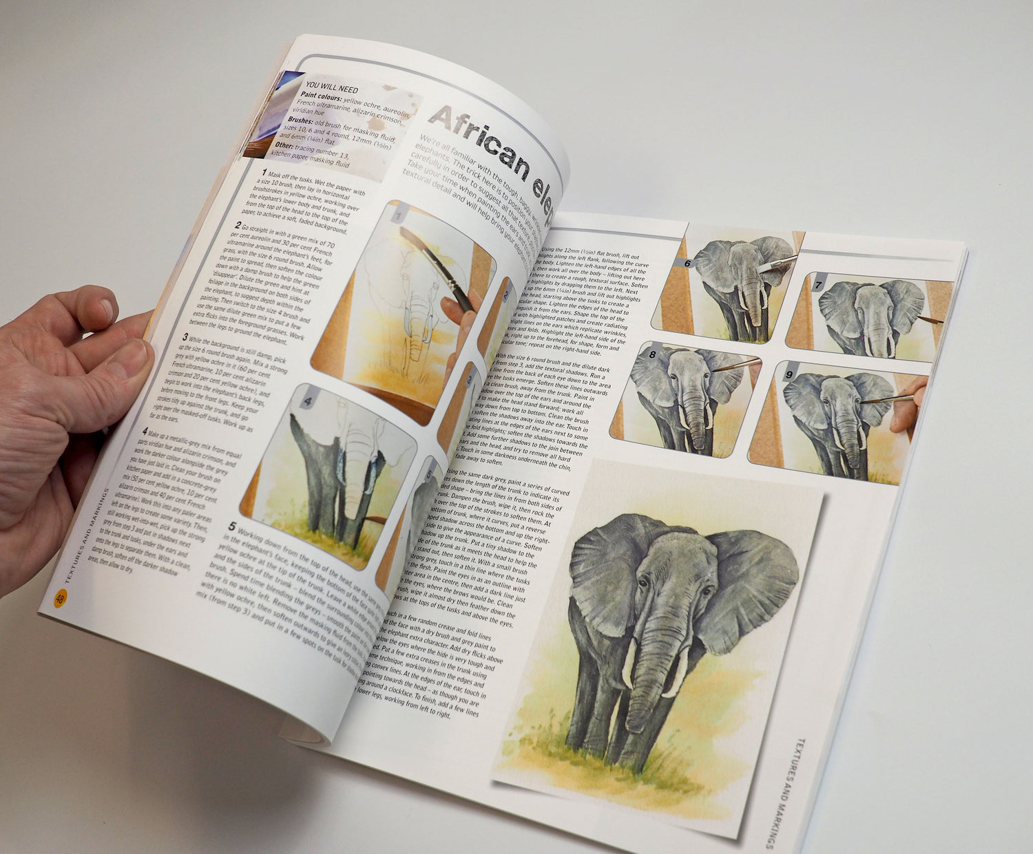 Ready to Paint in 30 Minutes: Animals in Watercolour SIGNED COPY