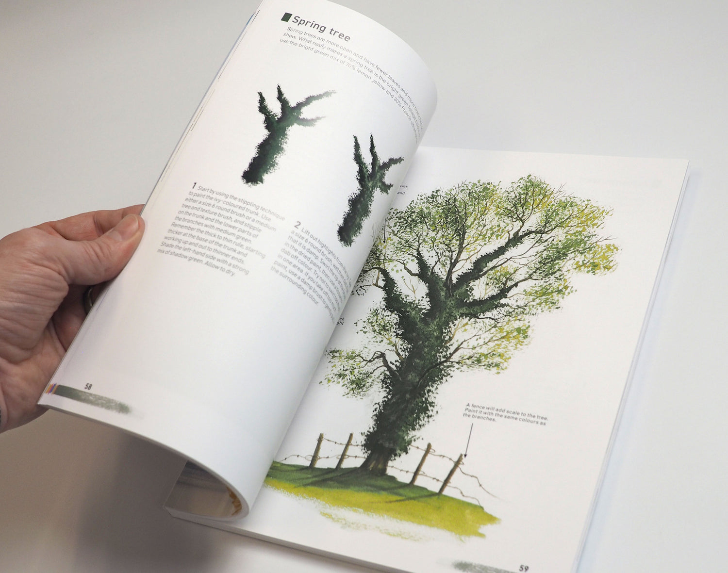 NEW BOOK - 10th Anniversary Edition, Watercolour for the Absolute Beginner SIGNED & NUMBERED 1st Edition - EXCLUSIVE COLLECTORS EDITION