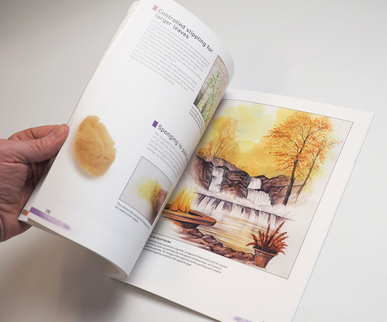 NEW BOOK - 10th Anniversary Edition, Watercolour for the Absolute Beginner SIGNED & NUMBERED 1st Edition - EXCLUSIVE COLLECTORS EDITION