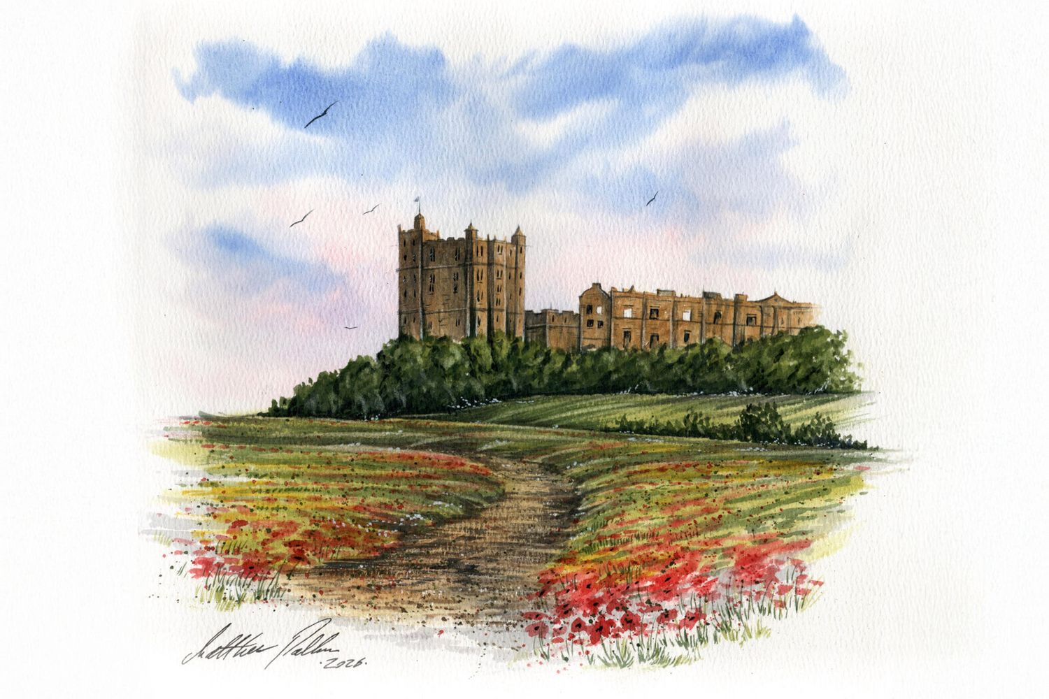 Bolsover Castle & Poppy Meadow