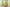 Matthew Palmer Natural Collection - Natural Green Light Watercolour - 15ml