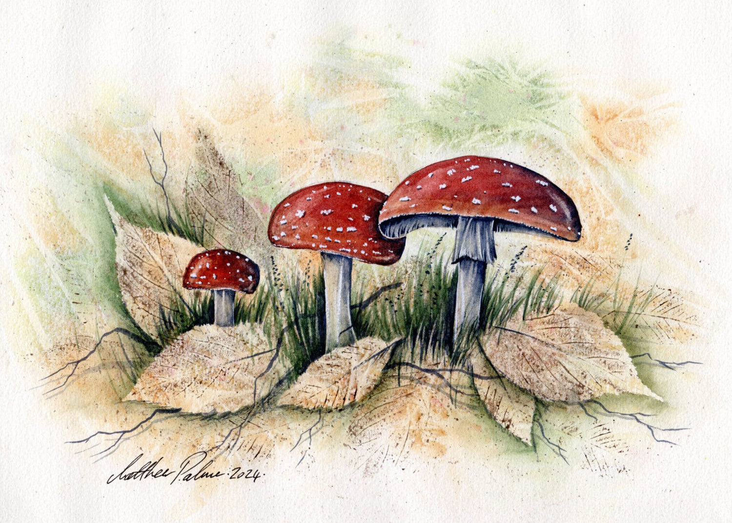 Matthew Palmer Natural Collection - Natural Red Watercolour 15ml