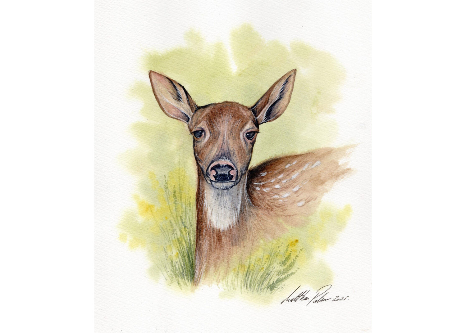 Matthew Palmer Natural Collection - Natural Skintone Dark Watercolour 15ml