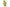 Matthew Palmer Natural Collection - Natural Yellow Light Watercolour 15ml