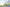 Matthew Palmer Tree & Texture Brush - Extra Large