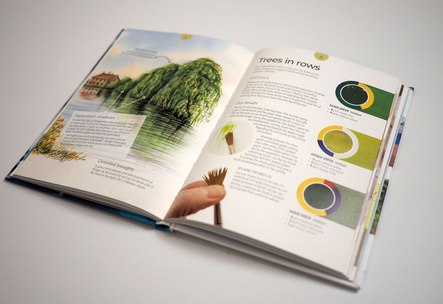 The Watercolour Companion: Techniques & tips to improve your painting - Signed & Numbered, 1st Edition - Now In Stock