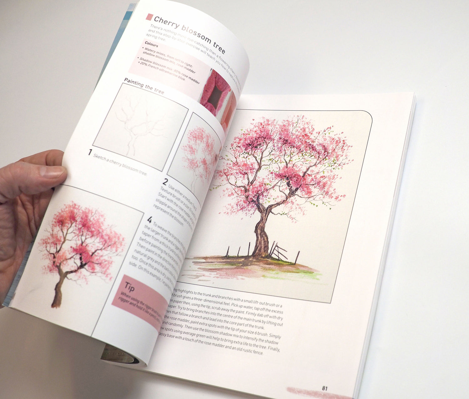 Signed - 1ST Edition- Watercolour Landscapes for the Absolute Beginner NEW BOOK - OFFER!