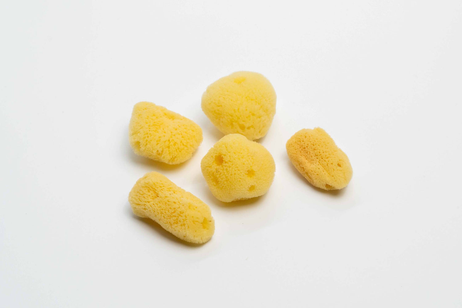 Natural Sponges - Bag of Five