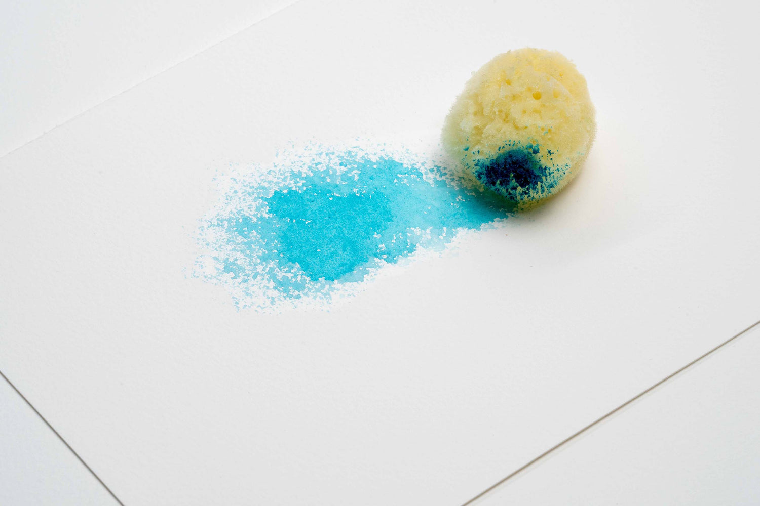 Natural Sponges - Bag of Five